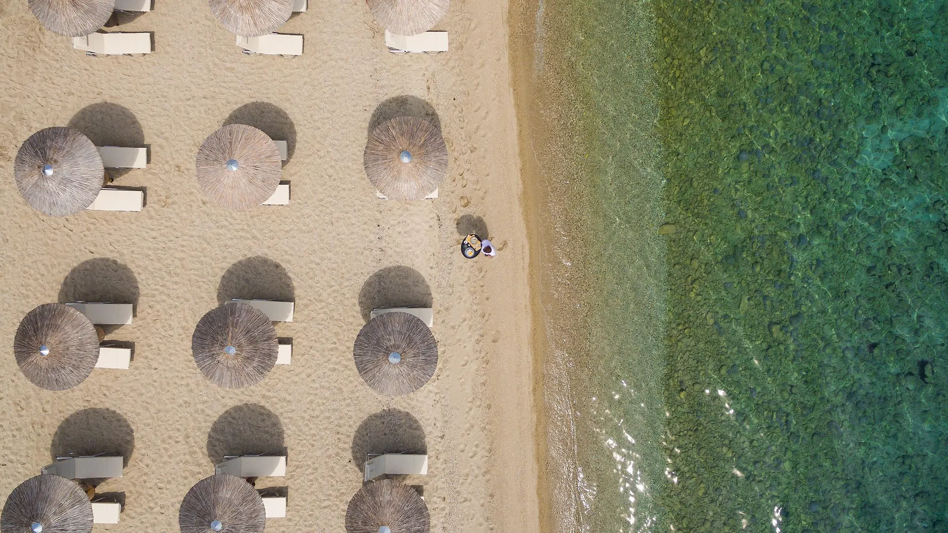 Kassandra Palace Seaside Resort Kriopigi